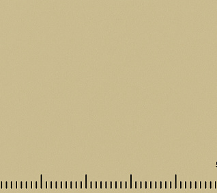 Велюр MUSTANG APPLE (LE) 