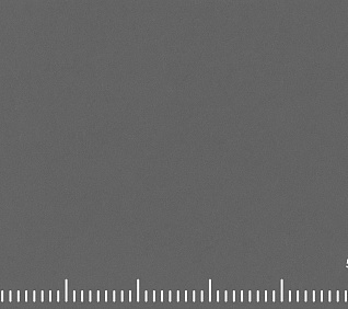 Велюр MUSTANG GRAFIT (LE) 