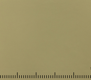 Искусственная кожа DISCOVERY PISTACHIO 