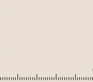 Велюр MUSTANG DOVE (LE) 