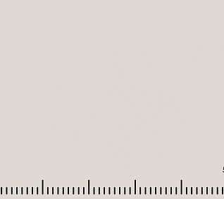 Велюр MUSTANG SMOKE (LE) 