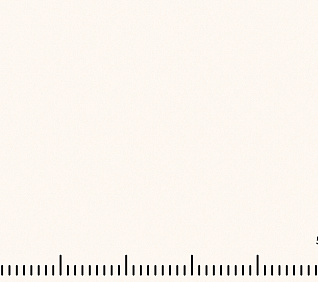 Велюр MUSTANG BONE (LE) 