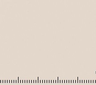 Велюр MUSTANG PEBBLE (LE) 