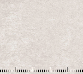 Велюр БАЛАНС \ BALANCE IVORY 