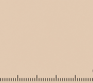 Велюр MUSTANG SAND (LE) 