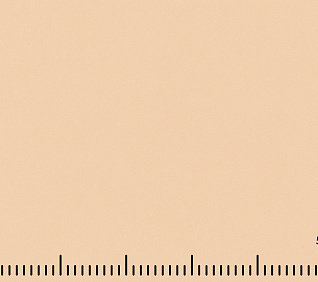 Велюр MUSTANG WHEAT (LE) 