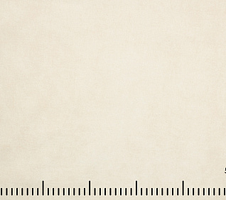 Шенилл NORTON MILK 