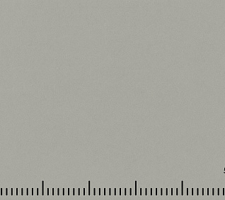 Велюр MUSTANG GREY (LE) 