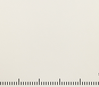 Искусственная кожа DISCOVERY WHITE 